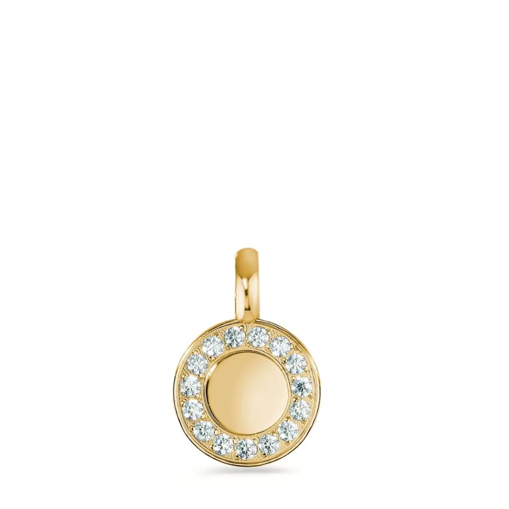 Anhänger aus Edelstahl mir wertvollem Gold veredelt und mit 15 Zirkonia