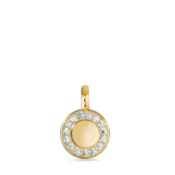 Anhänger aus Edelstahl mir wertvollem Gold veredelt und mit 15 Zirkonia