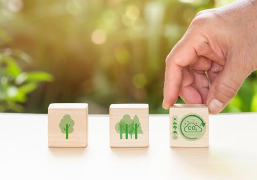 Würfel mit Nachhaltigkeitssymbolen