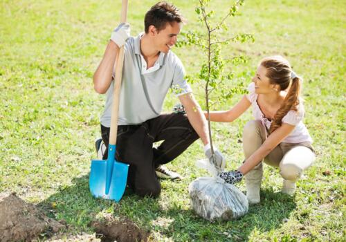 Paar pflanzt Baum